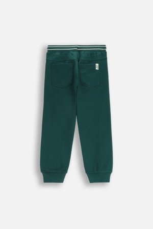 COCCODRILLO püksid ACADEMY BOY KIDS, roheline, cm 