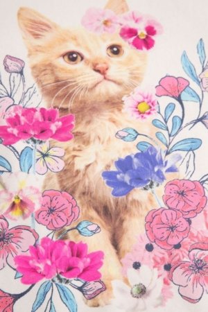 COCCODRILLO pikkade varrukatega t-särk, kreemi värv, WC6143103FGK-003-098 