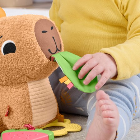 FISHER PRICE Sensimals mīļā kārumniece kapibara, HYR54 