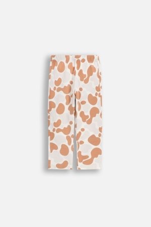 COCCODRILLO retuusid, kreemikat, WC6122101HUN-022-062, 62 suurus 