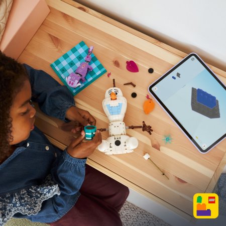 43287 LEGO® ǀ Disney Frozen Olafi ja Bruni piknikulõbu 