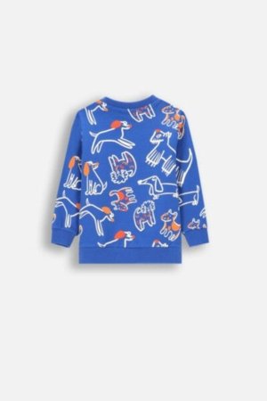 COCCODRILLO sweatshirt BETWEEN FRIENDS BOY NEWBORN, cobalt, ZC4132101BBN-032-086, 86 cm 