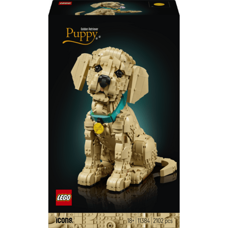 11384 LEGO® Icons Kuldse retriiveri kutsikas 