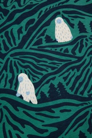 COCCODRILLO t-särk, mitmevärviline, cm 