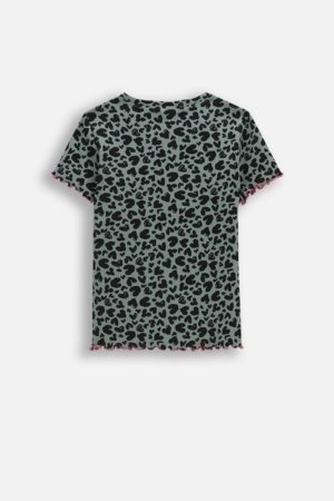 COCCODRILLO lühikeste varrukatega t-särk, mitmevärviline, WC6143202RGJ-011-140, 140 cm 