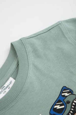 COCCODRILLO pikkade varrukatega t-särk, rohelised, cm 