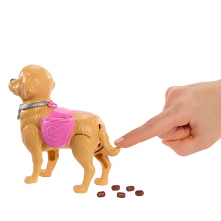 BARBIE Walk & Potty nukukomplekt, JJB46 