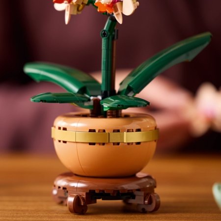 10343 LEGO® Botanical Collection Väike orhidee 