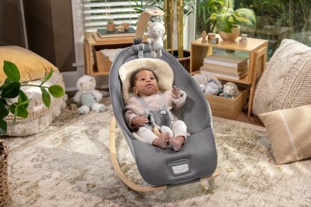 INGENUITY lamamistool EVERY SEASON Wesley™ 0 - 30 kuud, GREY, 16855 