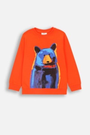 COCCODRILLO t-shirt FOREST FRIENDS KIDS, punased, ZC4143102FBK-009-122, 122 cm 