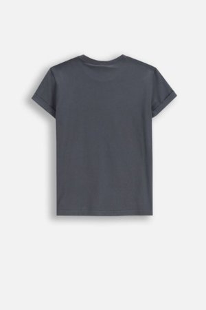 COCCODRILLO lühikeste varrukatega särk LICENCE GIRL, hall, WC5143218LGD-020-164, 164 cm 