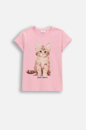 COCCODRILLO lühikeste varrukatega t-särk, roosad, cm 