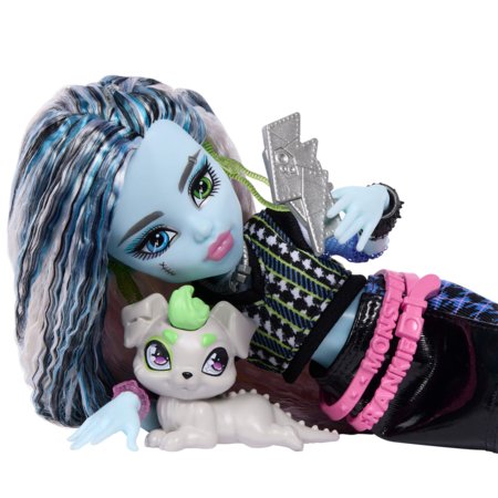 MONSTER HIGH nukk Frankie, JHK31 