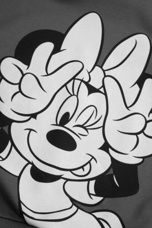 COCCODRILLO kapuutsiga pusa, hall, cm 