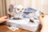 MAKEBUG 3D paberist pusle Snowy Owl, MB-B-0009 
