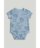MOTHERCARE bodi, 5 tk., AX51501, cm 