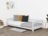 BENLEMI voodi STUDY, 120x200 cm., Light grey, 8589/120X200-SVS 