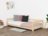 BENLEMI voodi STUDY, 90x160 cm., Unvarnished, 8589/90X160-PRI 