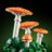 11505 LEGO® Botanicals Metsaseened 
