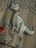 NAME IT JURASSIC WORLD t-särk, 13247257-817A65 110 cm 