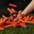 NERF N SERIES mängupüstol PinPoint, F8621 