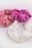 COCCODRILLO hairpin PETIT BIJOU, värv, WC5311806PBJ-022-000, one size cm 