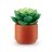 MINI BRANDS miniatuuride komplekt  Garden, 1 seeria, 77559 
