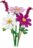 11514 LEGO® Botanicals Kosmoseõied 
