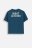 COCCODRILLO short sleeved t-shirt ACADEMY BOY JUNIOR, tumesinised, ZC4143204ABJ-015-164, 164 cm 