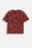 COCCODRILLO t-särgid EVERYDAY BOY A, värv, ZC5143208VBA-022-092, 92 cm 