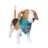SQUISHMALLOWS PETS bandana, suurus L/XL, JPT0520-L/XL 