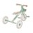 GLOBBER õppekolmerattaline Learning Trike 2in1 Plus, pistaatsia, 737-109 