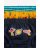 MOTHERCARE aluspüksid, 5 tk., BB325 576342
