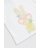 MOTHERCARE komplekts, HC688 116 