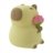 MARY'S LED RGB öölamp CAPYBARA FLORIST, MW61108 