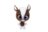 MIRACULOUS plüüsist mänguasi 24cm Plush, assortii, M13034 