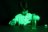 SMARTIVITY konstruktor-laboratoorium Glow in the Dark, SMRT1214 