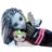 MONSTER HIGH nukk Frankie, JHK31 