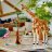 31150 LEGO® Creator Metsikud Safariloomad 