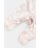 MOTHERCARE pükskostüüm, FC120 639131