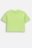 COCCODRILLO lühikeste varrukatega t-särk, lime, cm 