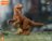 Blokees transformaator  Jurassic World Terraventure Surprise Wave  Dinosaur Capture Operation, asort., 75641 