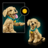 11384 LEGO® Icons Kuldse retriiveri kutsikas 