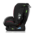 LIONELO turvatool AART I-SIZE, Black carbon red,  40-150 cm., LO-AART I-SIZE 