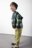 COCCODRILLO särgid ACADEMY BOY KIDS, värv, ZC5136402ABK-022-104, 104 cm 