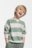 COCCODRILLO pikkade varrukatega särk SAGE TIME BOY KIDS, värv, WC5143101SBK-022-122, 122 cm 