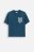 COCCODRILLO short sleeved t-shirt ACADEMY BOY JUNIOR, tumesinised, ZC4143204ABJ-015-164, 164 cm 