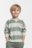 COCCODRILLO pikkade varrukatega särk SAGE TIME BOY KIDS, värv, WC5143101SBK-022-122, 122 cm 