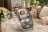 INGENUITY lamamistool EVERY SEASON Wesley™ 0 - 30 kuud, GREY, 16855 